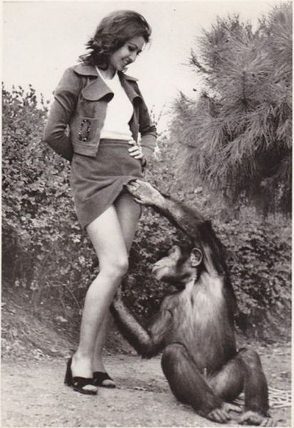 Morning Picdump