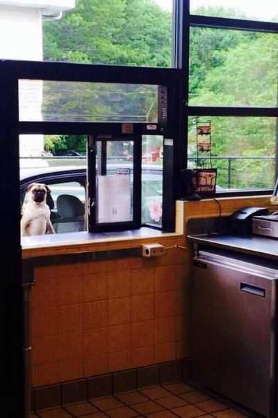 Morning Picdump