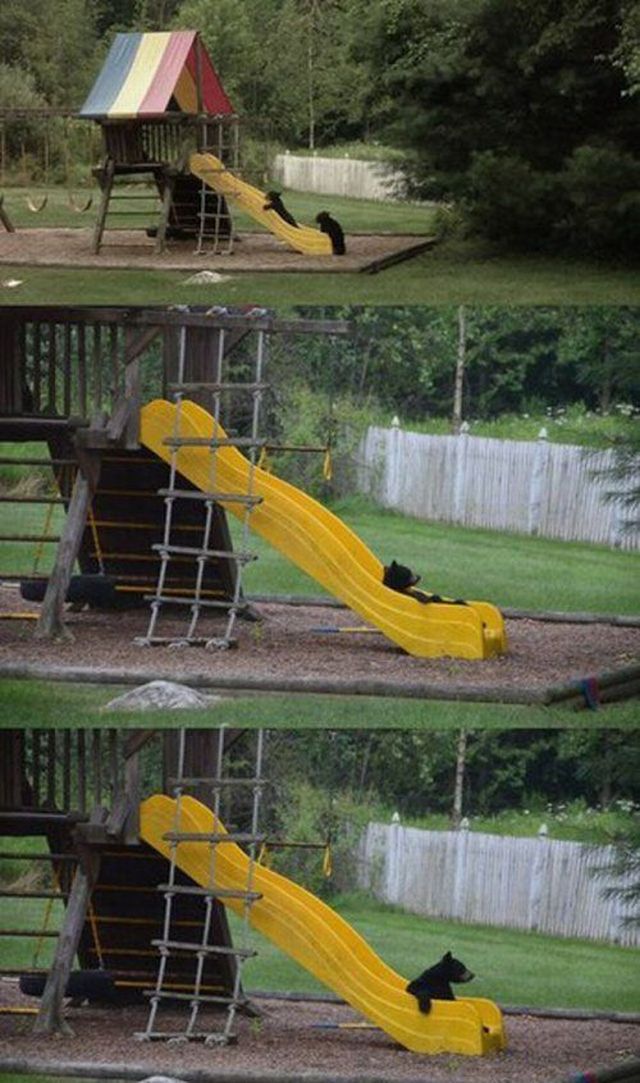 Morning Picdump