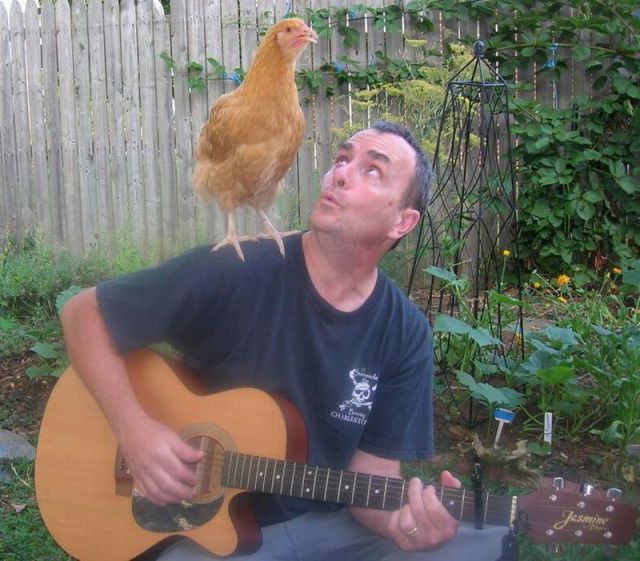 Content Image