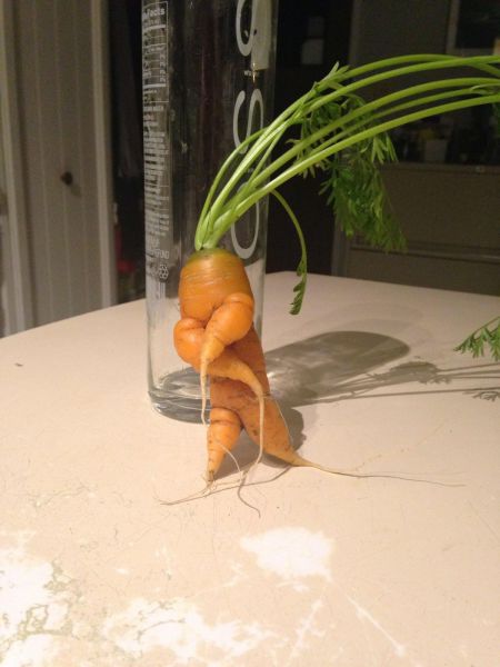 Content Image