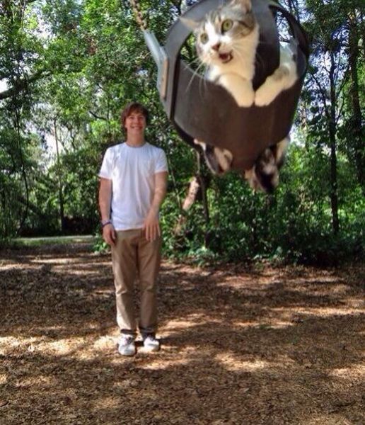 Content Image