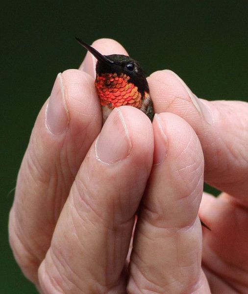 Daily Picdump