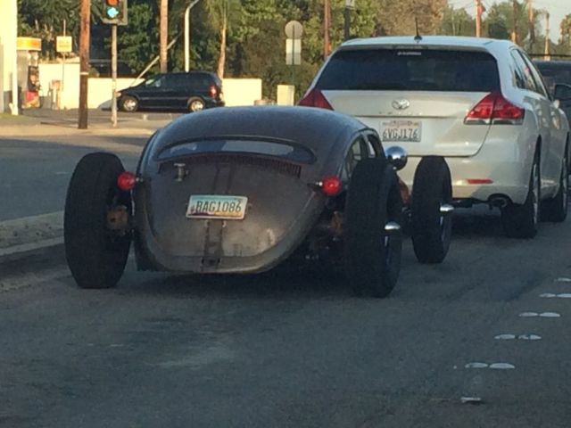 Daily Picdump