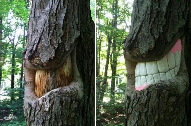 Content Image