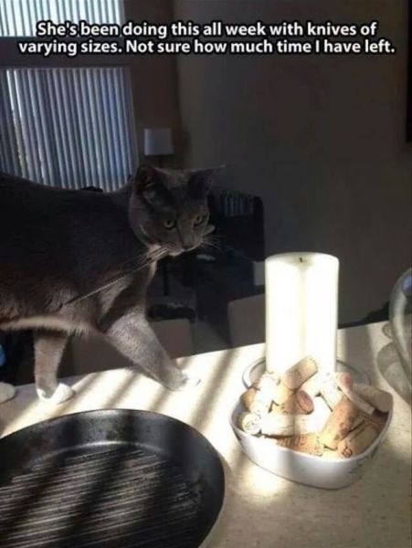 Morning Picdump
