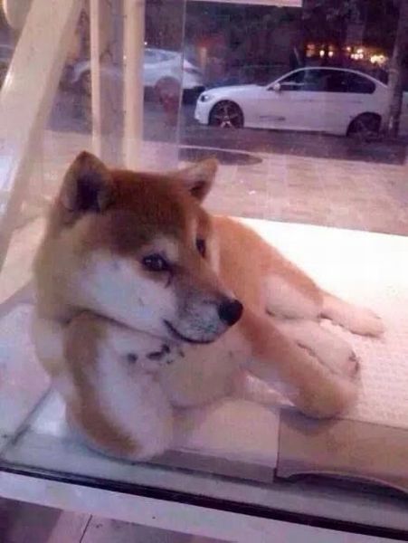 Content Image