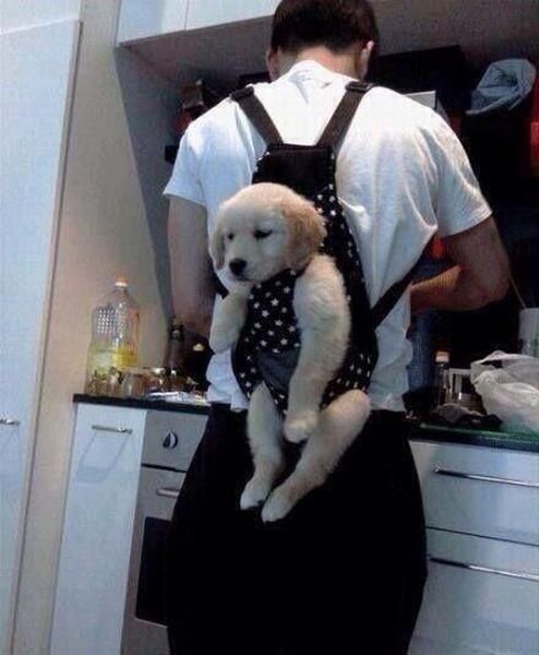 Content Image
