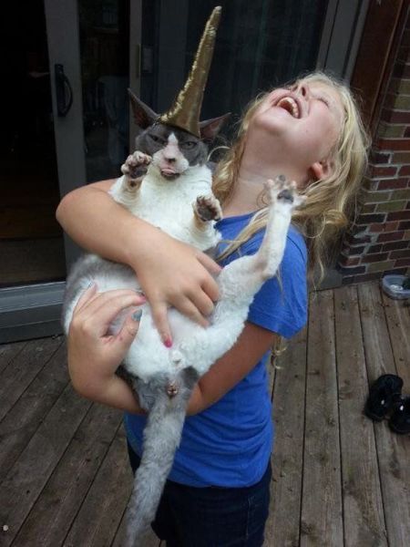 Content Image