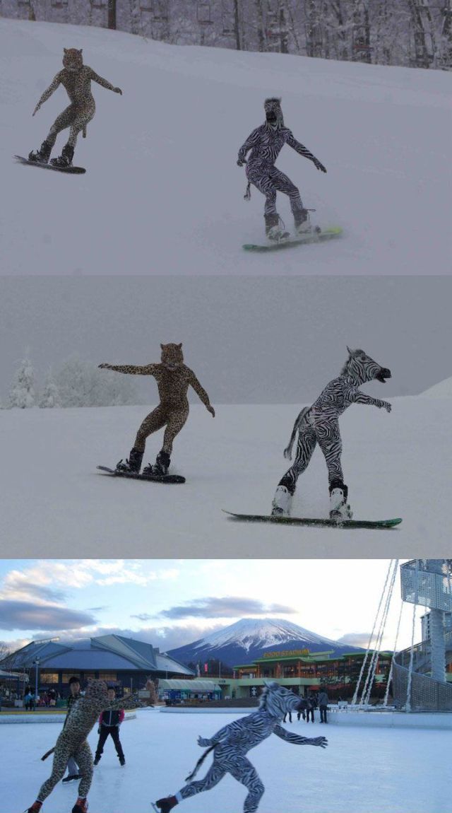 Content Image