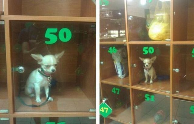 Content Image