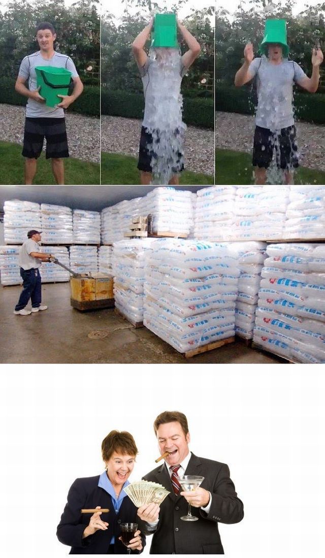 Content Image