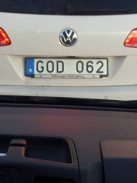 Morning Picdump
