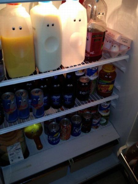 Morning Picdump