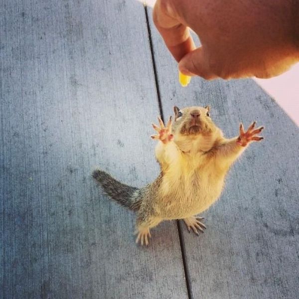Morning Picdump