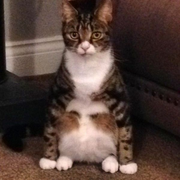 Morning Picdump