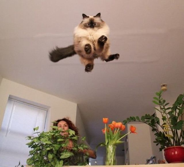 Daily Picdump