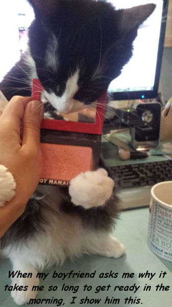 Daily Picdump