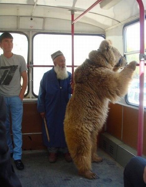 Daily Picdump
