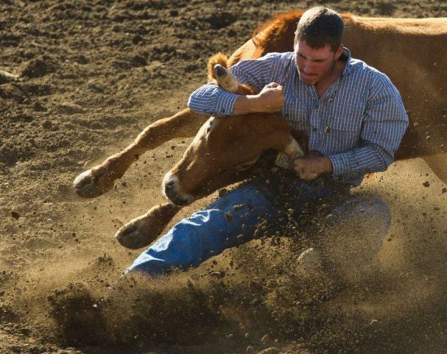 Daily Picdump