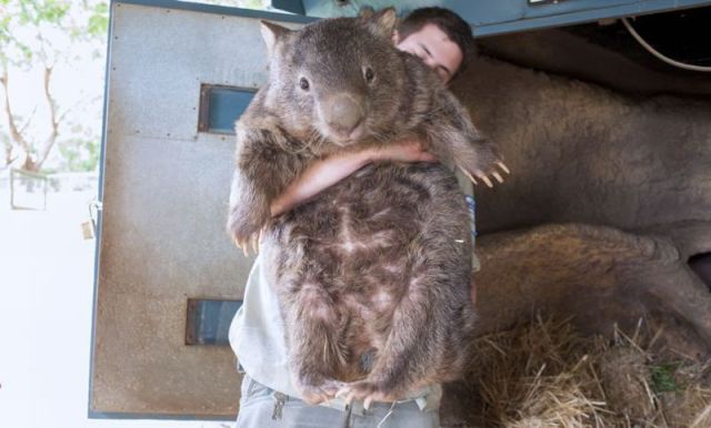 Daily Picdump