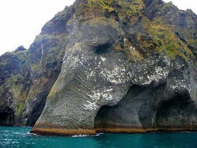 Content Image