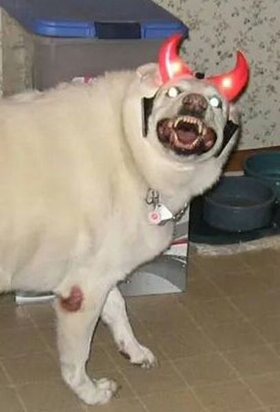 Content Image