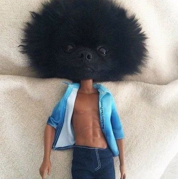 Content Image