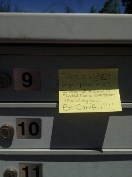 Morning Picdump
