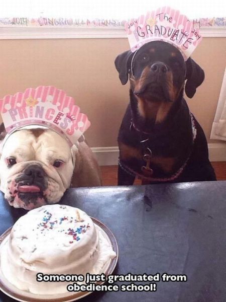 Morning Picdump