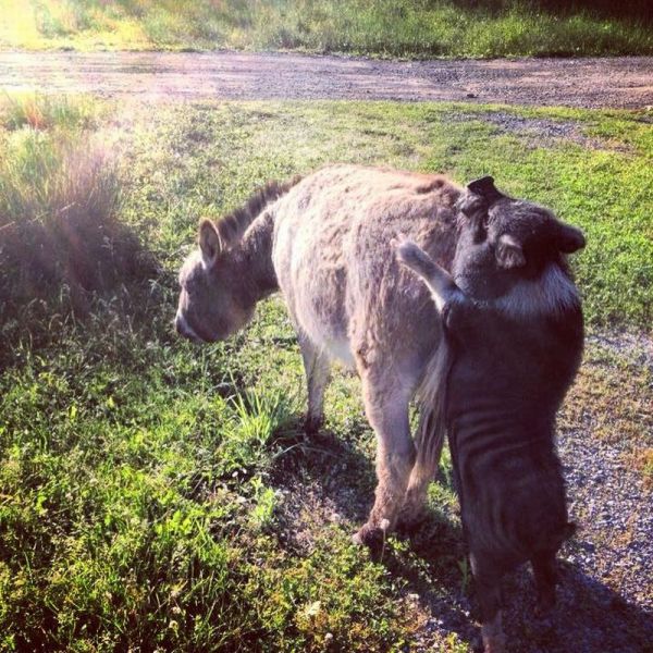 Morning Picdump