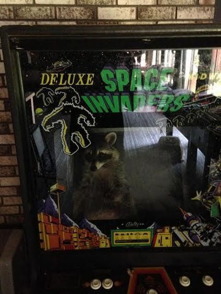 Content Image