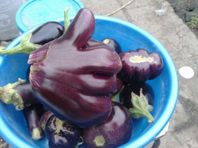 Content Image