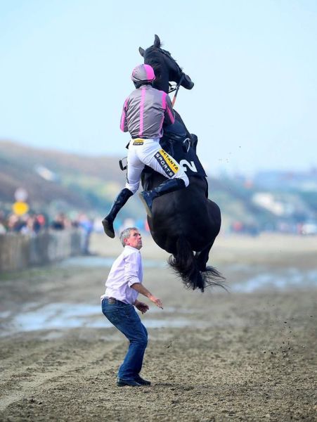 Daily Picdump