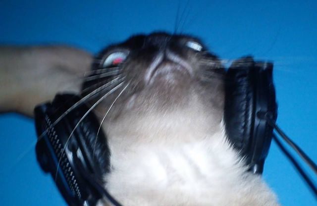 Daily Picdump