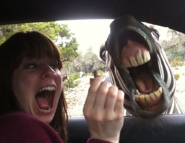 Daily Picdump