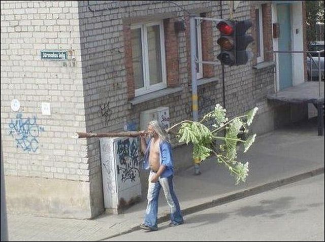 Daily Picdump