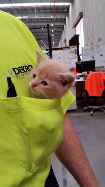 Daily Picdump