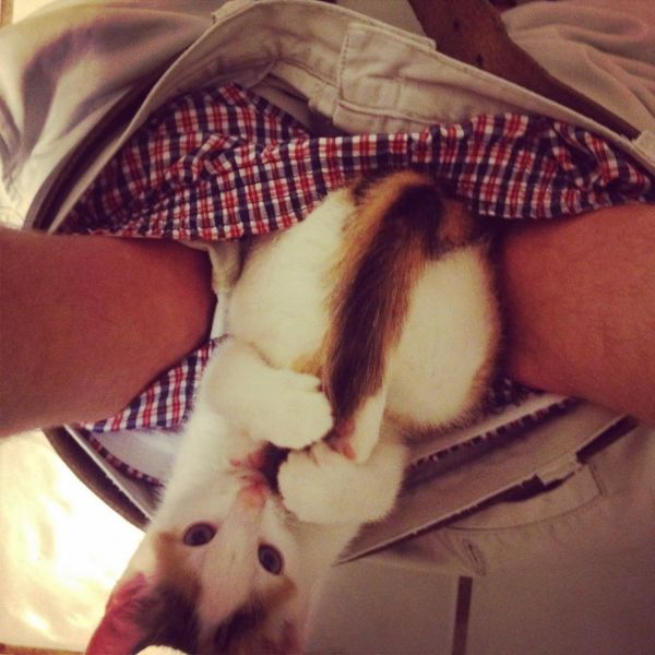 Daily Picdump