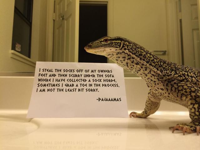 Content Image