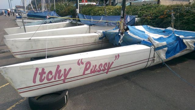 Content Image