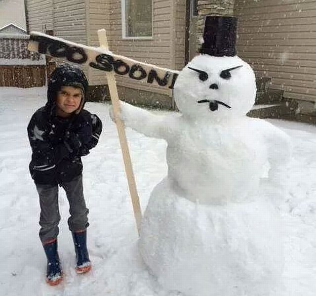 Content Image