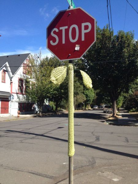 Content Image