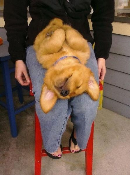 Content Image