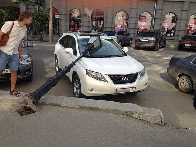 Morning Picdump