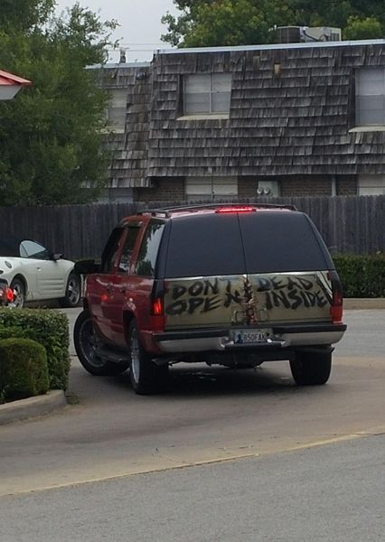Morning Picdump
