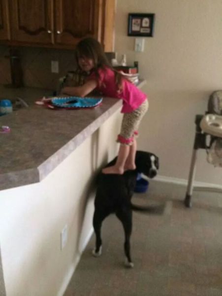 Content Image