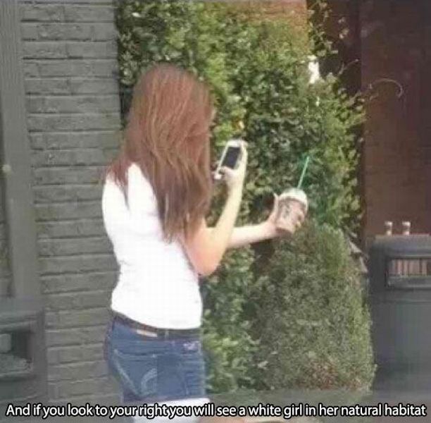 White Girls Are Their Own Species