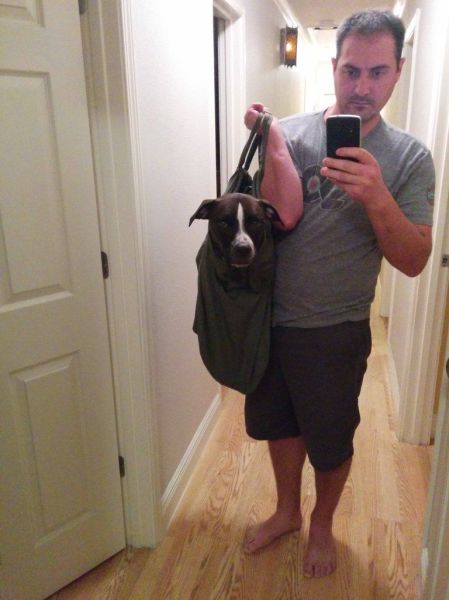 Daily Picdump