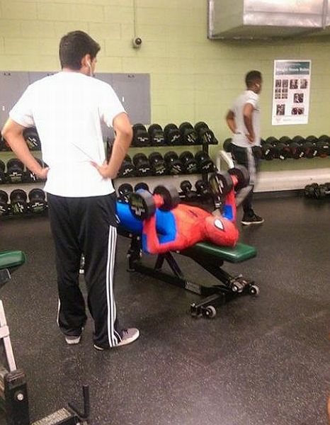 Daily Picdump